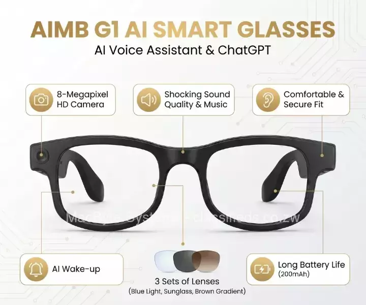 Smart Glasses AI